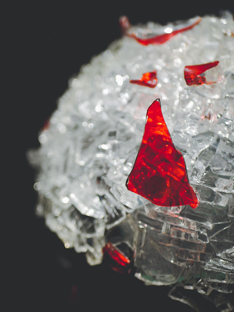 Gros_plan-En-solitaire-6