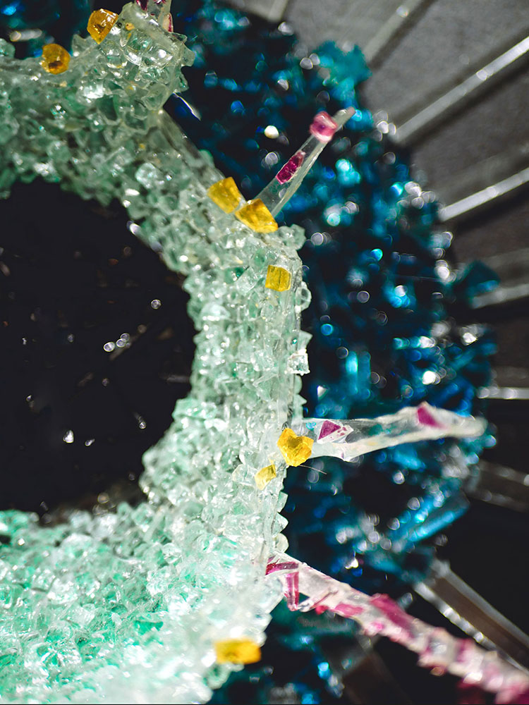 Gros_plan-La beauté est dans les yeux de celui qui regarde-4