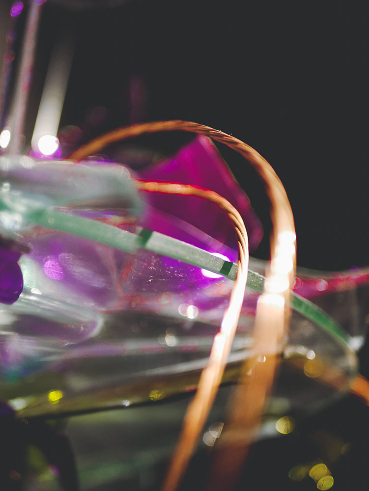 Gros_plan-Vole-Vole-2