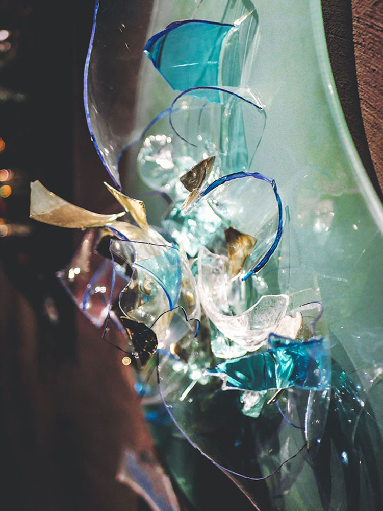 Gros_plan-Volubilis-de-bleu-4-B